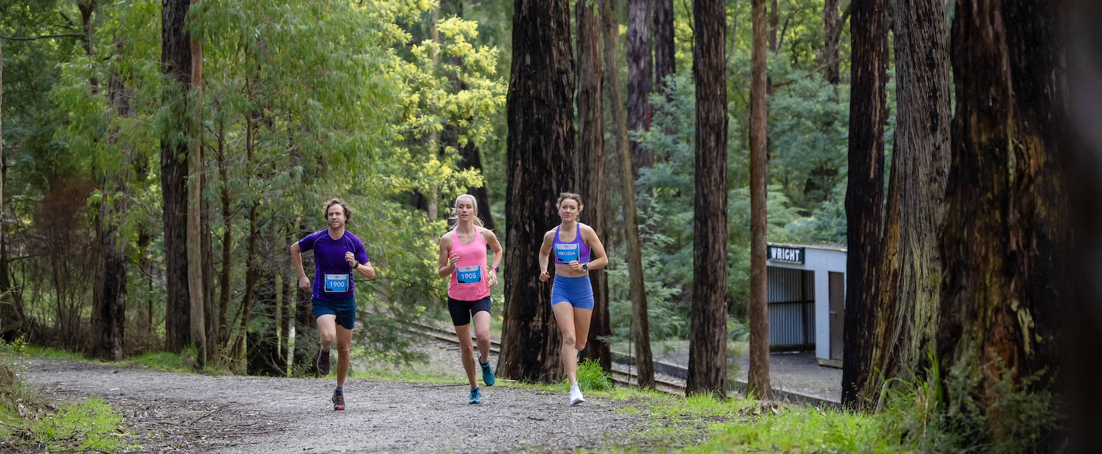 Prizes - Puffing Billy Running Festival